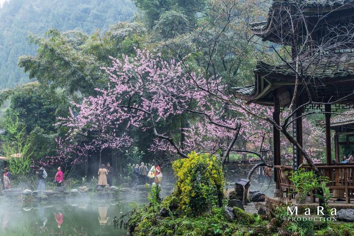逗小猴开心系列203